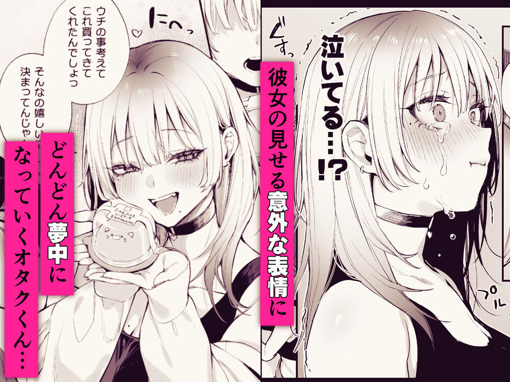 一晩泊めてよ、オタクくん 画像5