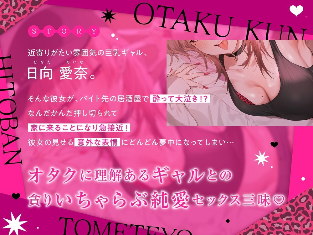 一晩泊めてよ、オタクくん 音声編 画像3