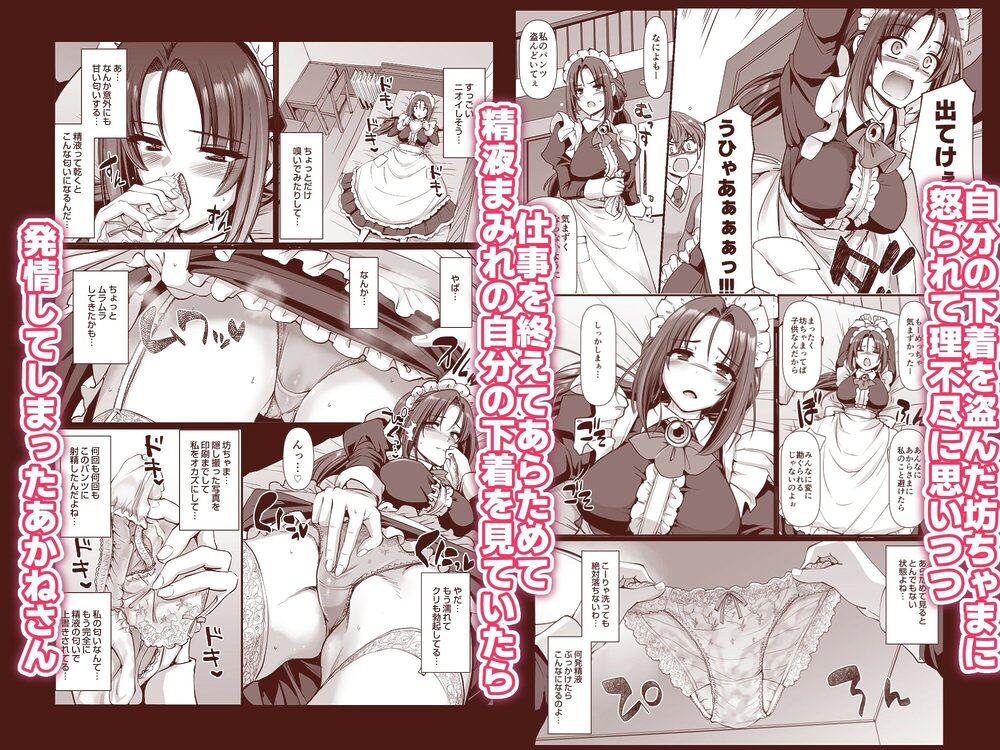 ポンコツ独身メイドあかねさん(28) 画像3