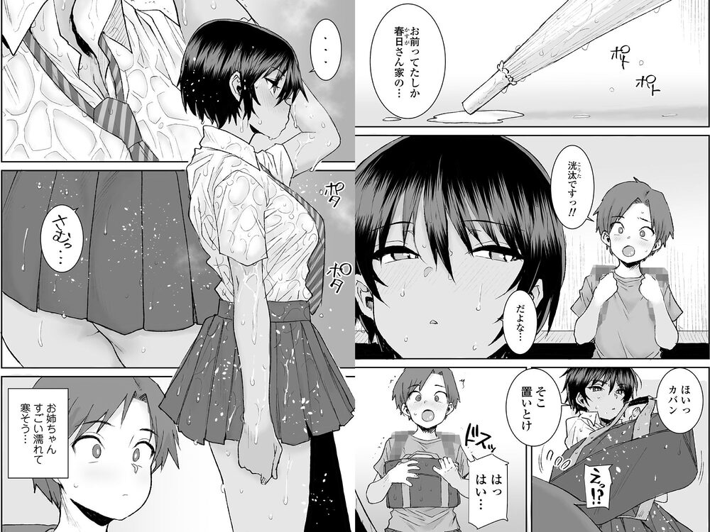 無口で気の強いボーイッシュなお姉ちゃんで僕は童貞を卒業しました 画像5
