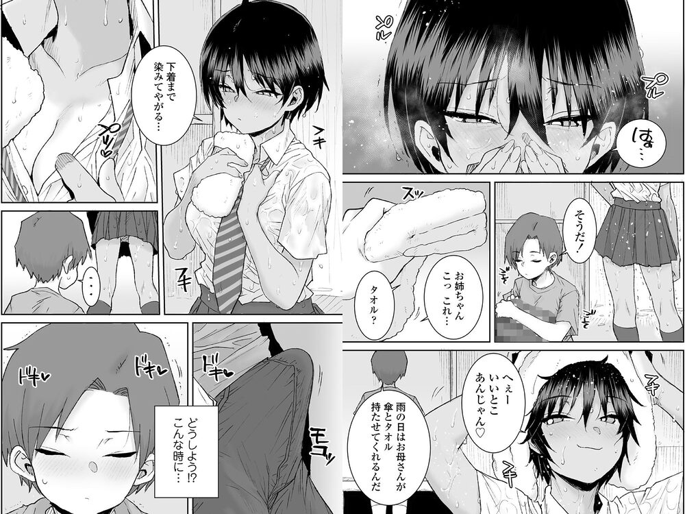 無口で気の強いボーイッシュなお姉ちゃんで僕は童貞を卒業しました 画像6